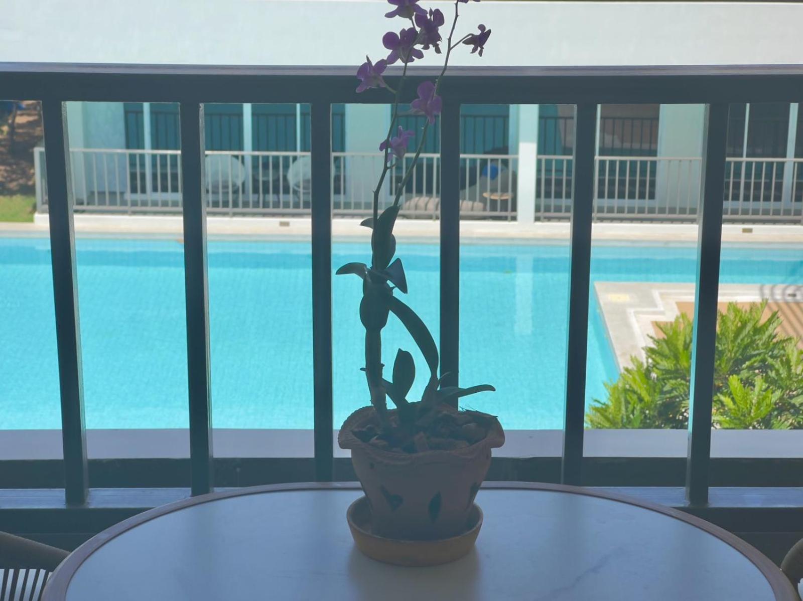The Terraza Amphoe Koksamui